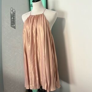 Sheer Rose pleated dress small